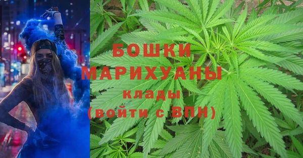 каннабис Богданович